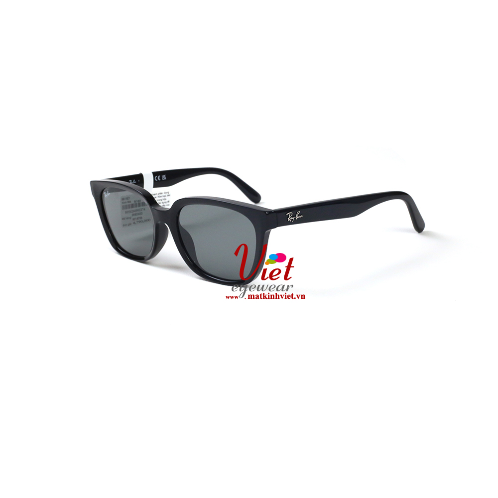 Kính mát RayBan RB2243D 901/87